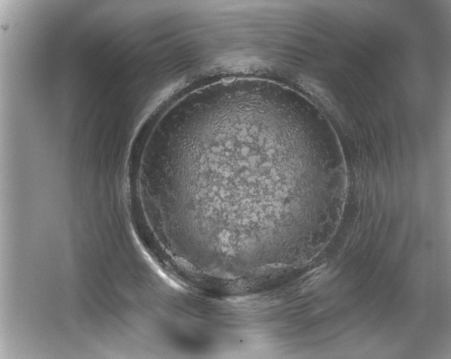 X0000065970630200603031129