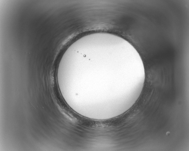 X0000065970632200603031129