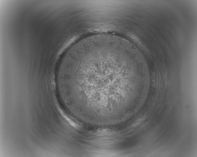 X0000065970634200603031129