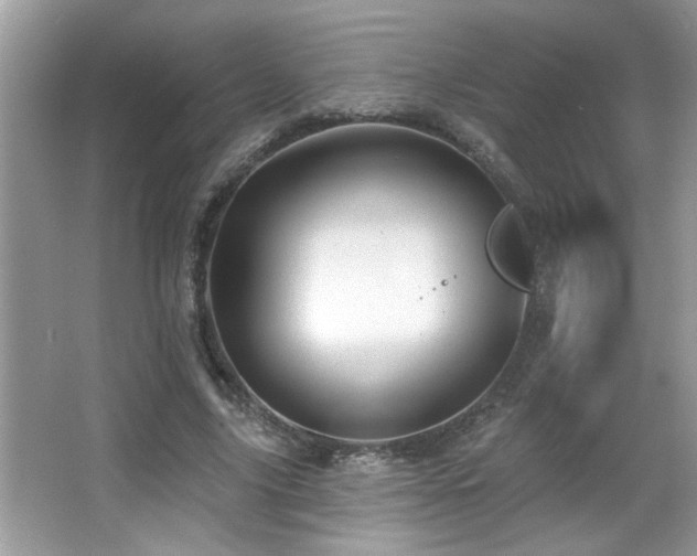 X0000065970635200603031129