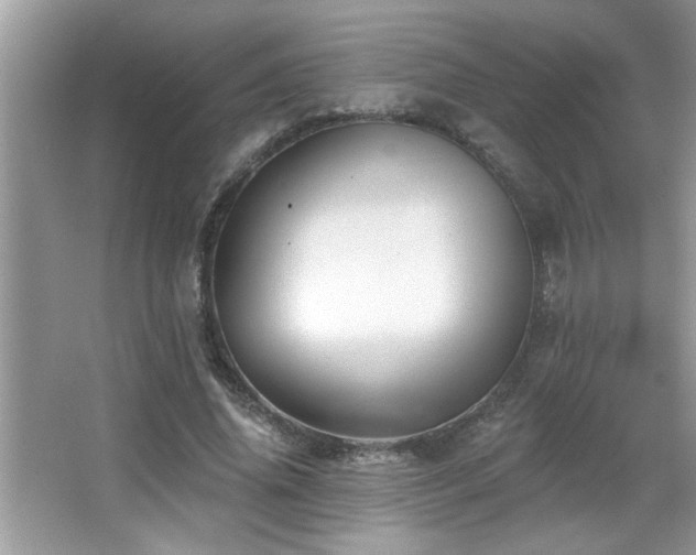 X0000065970636200603031129