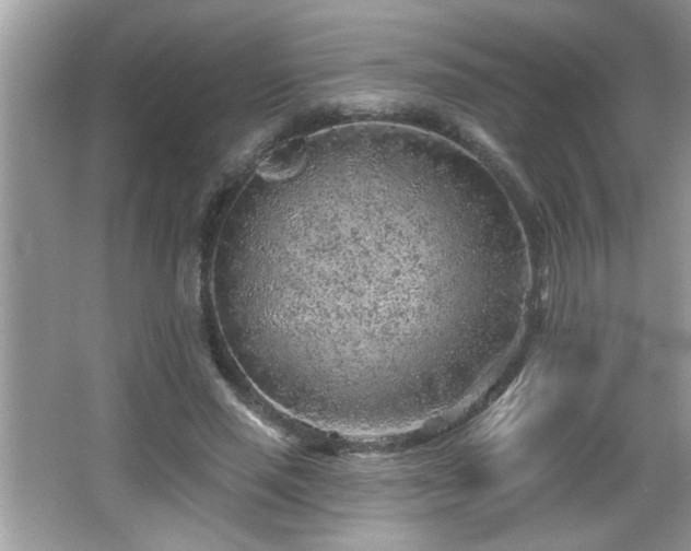 X0000065970637200603031129