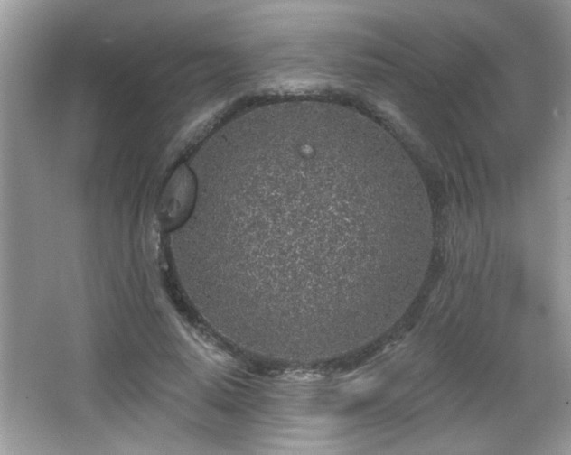 X0000065970640200603031129