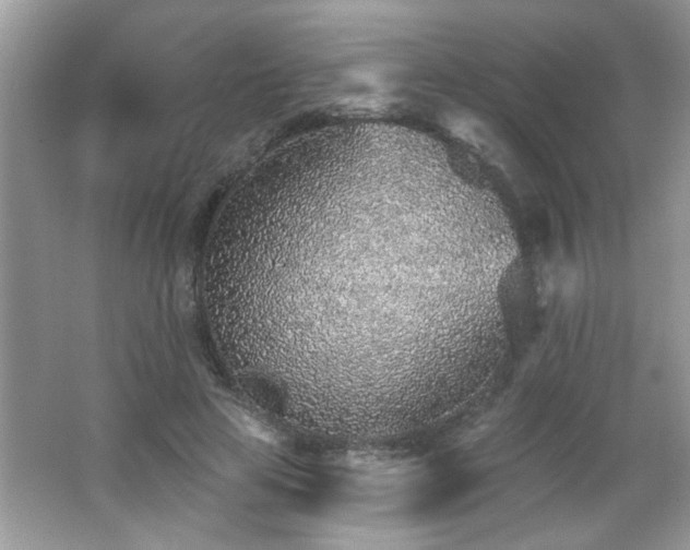 X0000065970641200603031129