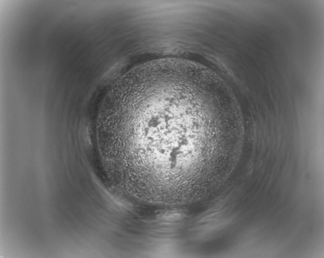 X0000065970643200603031129