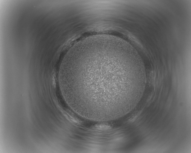 X0000065970644200603031129