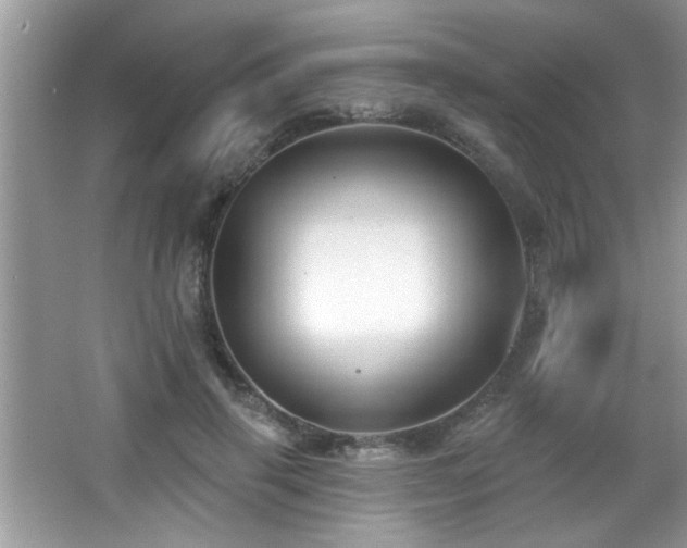 X0000065970645200603031129