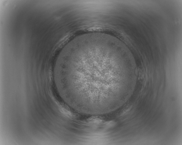 X0000065970648200603031130