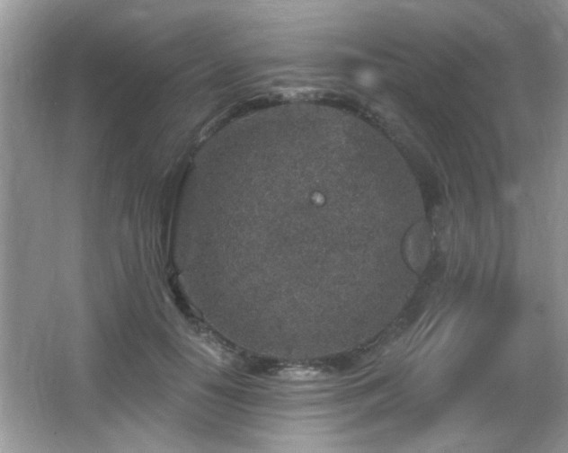 X0000065970650200603031130