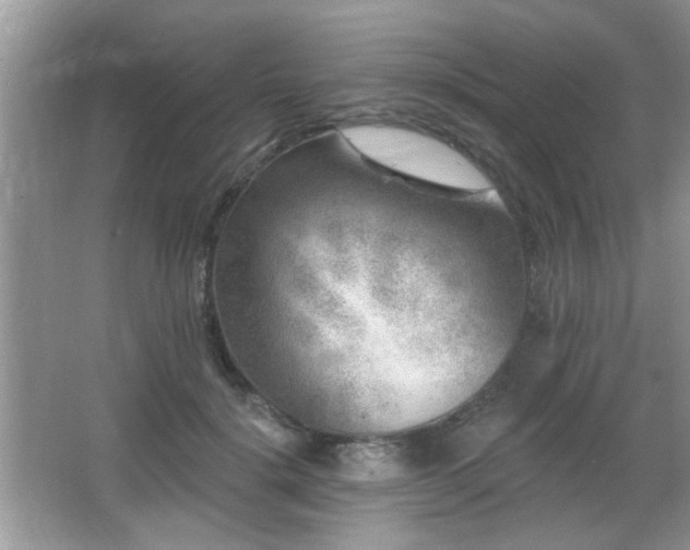 X0000065970652200603031130