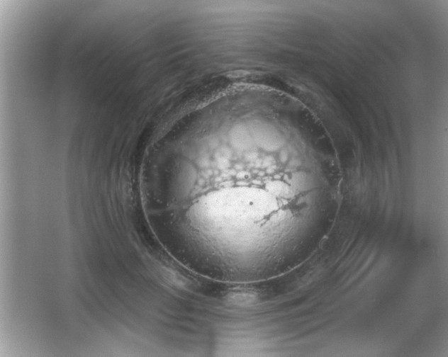 X0000065970653200603031130