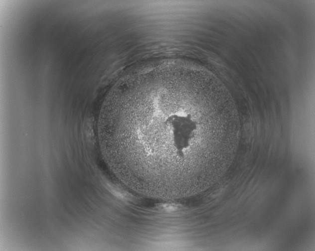 X0000065970654200603031130