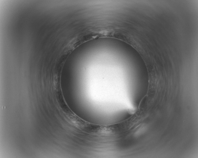 X0000065970656200603031130