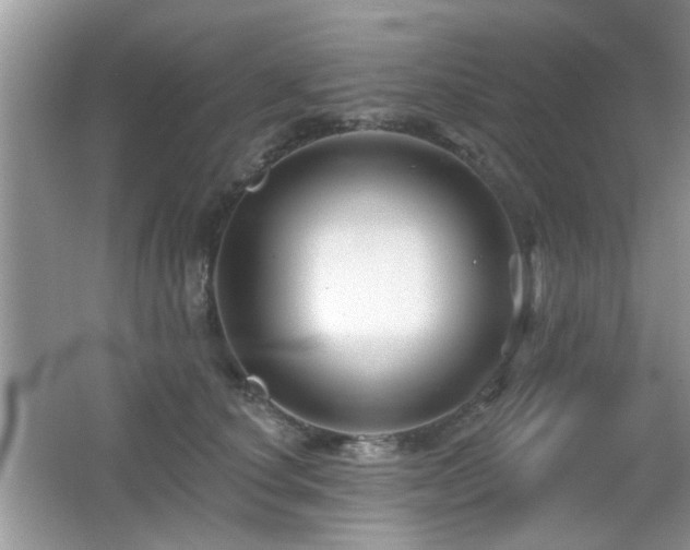 X0000065970660200603031130