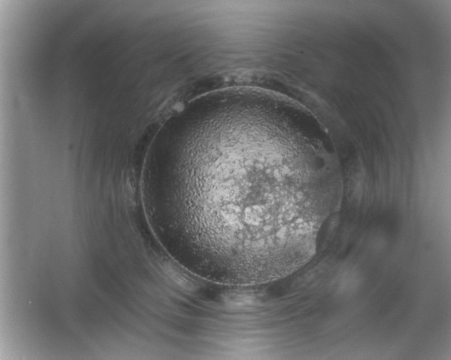 X0000065970661200603031130