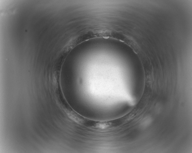 X0000065970662200603031130