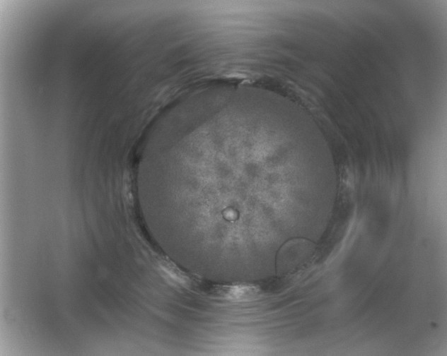 X0000065970663200603031130