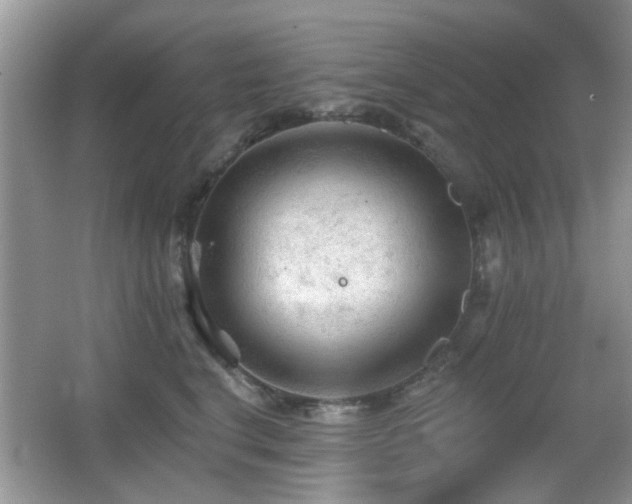 X0000065970664200603031130