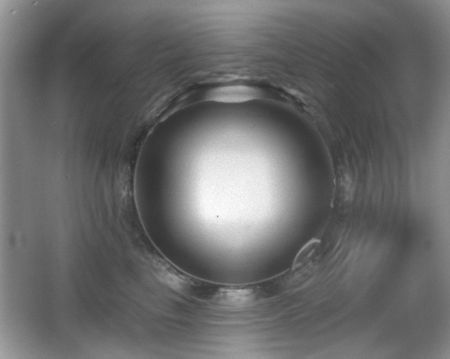 X0000065970665200603031130