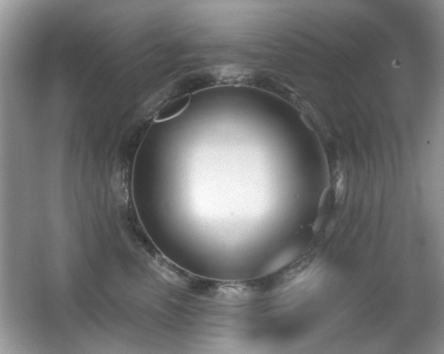 X0000065970666200603031130