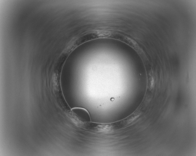 X0000065970667200603031130