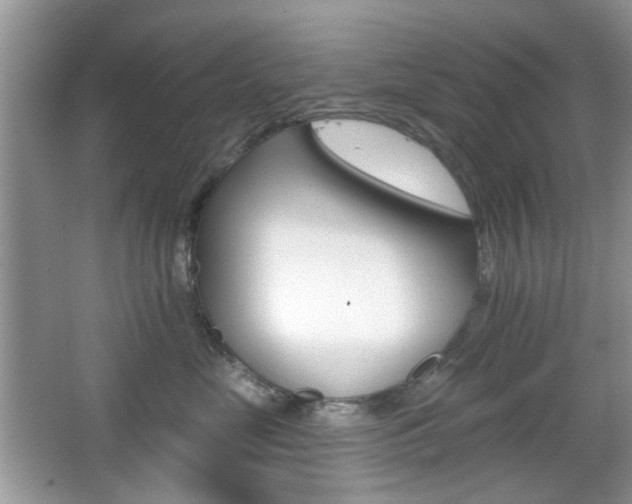 X0000065970669200603031130