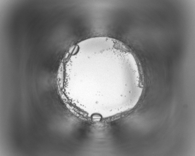 X0000065970672200603031130