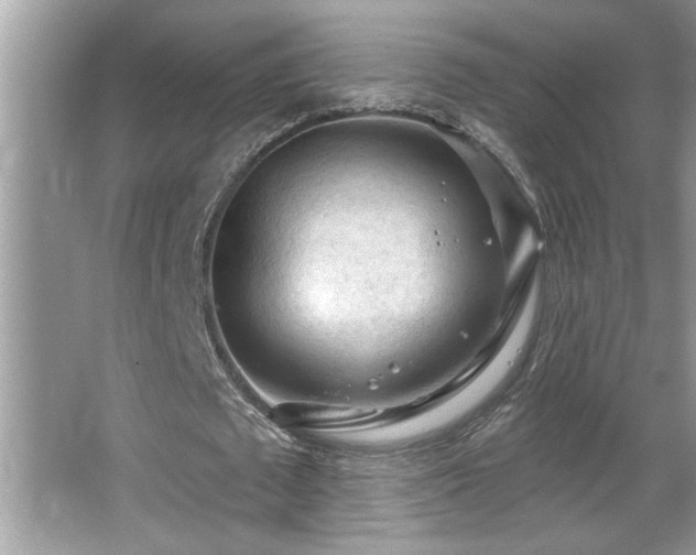 X0000065970673200603031129