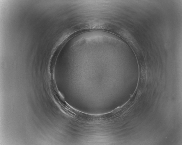 X0000065970674200603031129