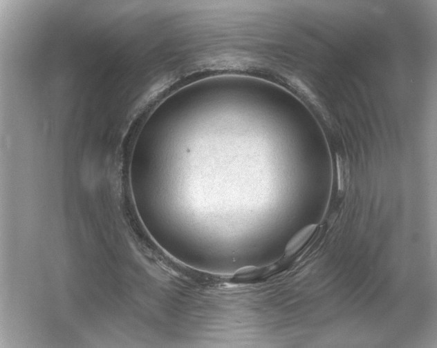 X0000065970675200603031129