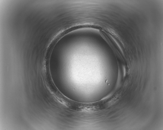 X0000065970676200603031129