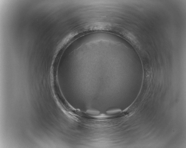 X0000065970678200603031129