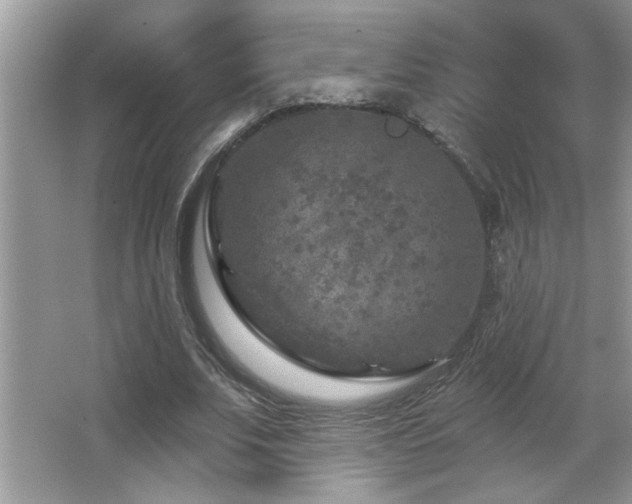 X0000065970679200603031129