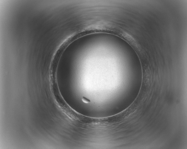 X0000065970680200603031129