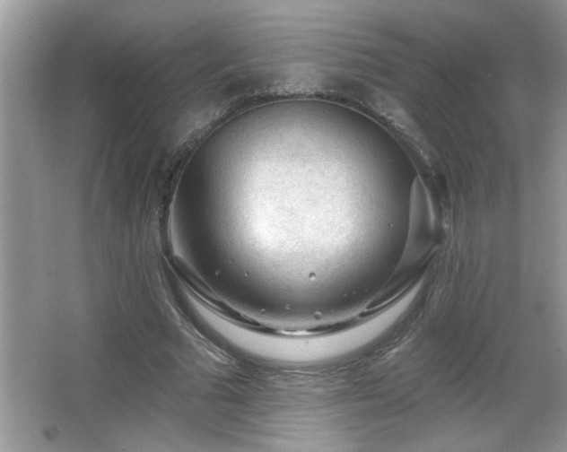 X0000065970681200603031129