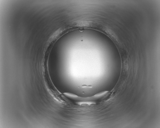 X0000065970682200603031129