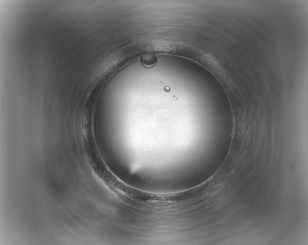 X0000065970683200603031129