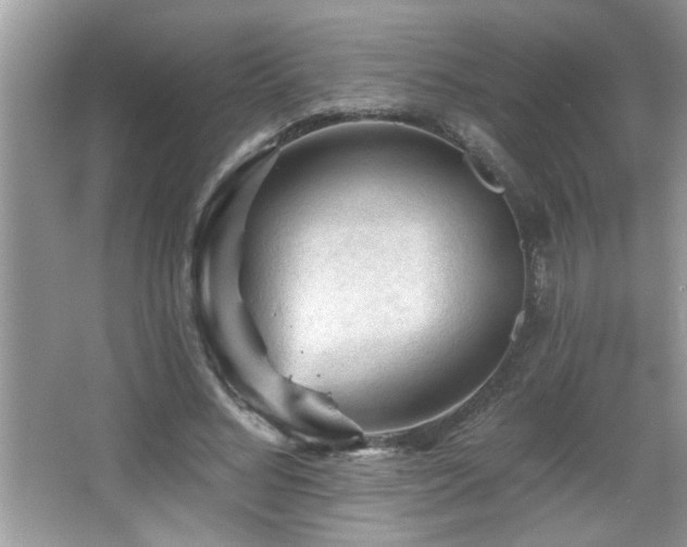 X0000065970684200603031129