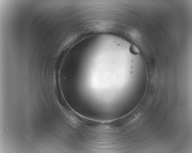 X0000065970685200603031129