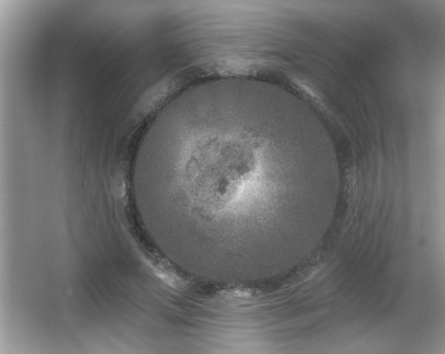 X0000065970687200603031129