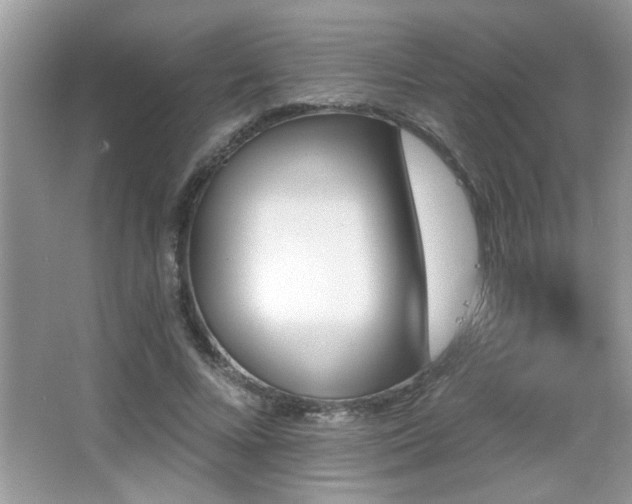 X0000065970688200603031129