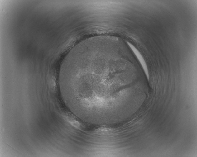 X0000065970691200603031129