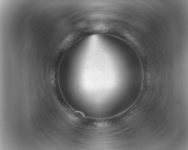 X0000065970693200603031129