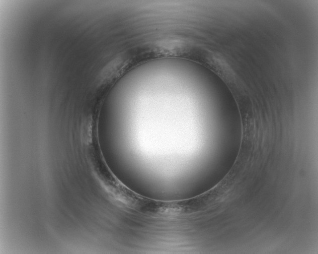 X0000065970694200603031129