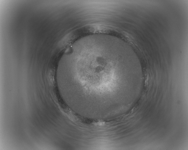 X0000065970695200603031129