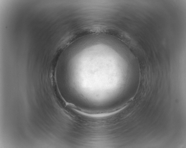 X0000065970696200603031129