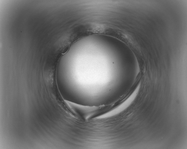 X0000065970697200603031129