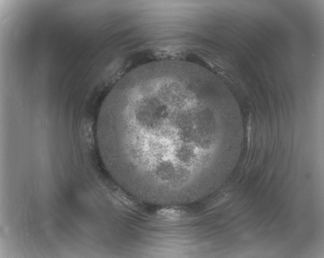 X0000065970699200603031129