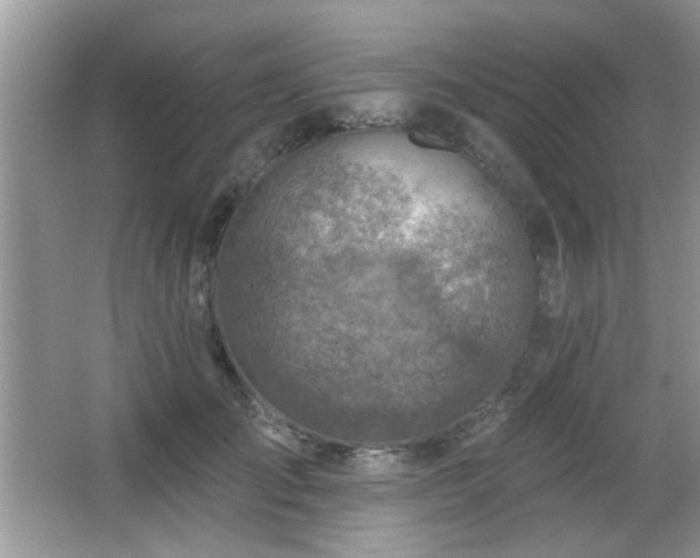 X0000065970701200603031129