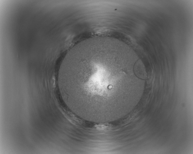 X0000065970703200603031129